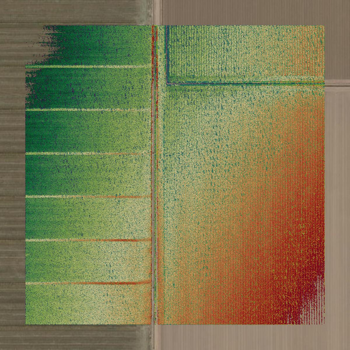 This image shows a LiDAR point cloud in Imperial County created using GIS data in Equator.