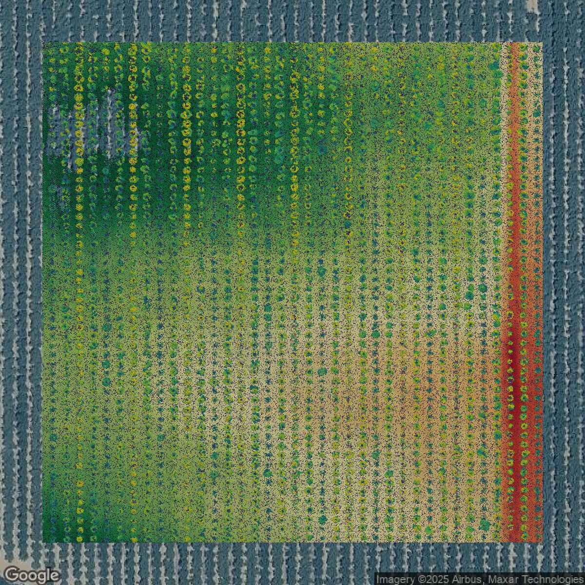 This image shows a LiDAR point cloud in Kern County created using GIS data in Equator.