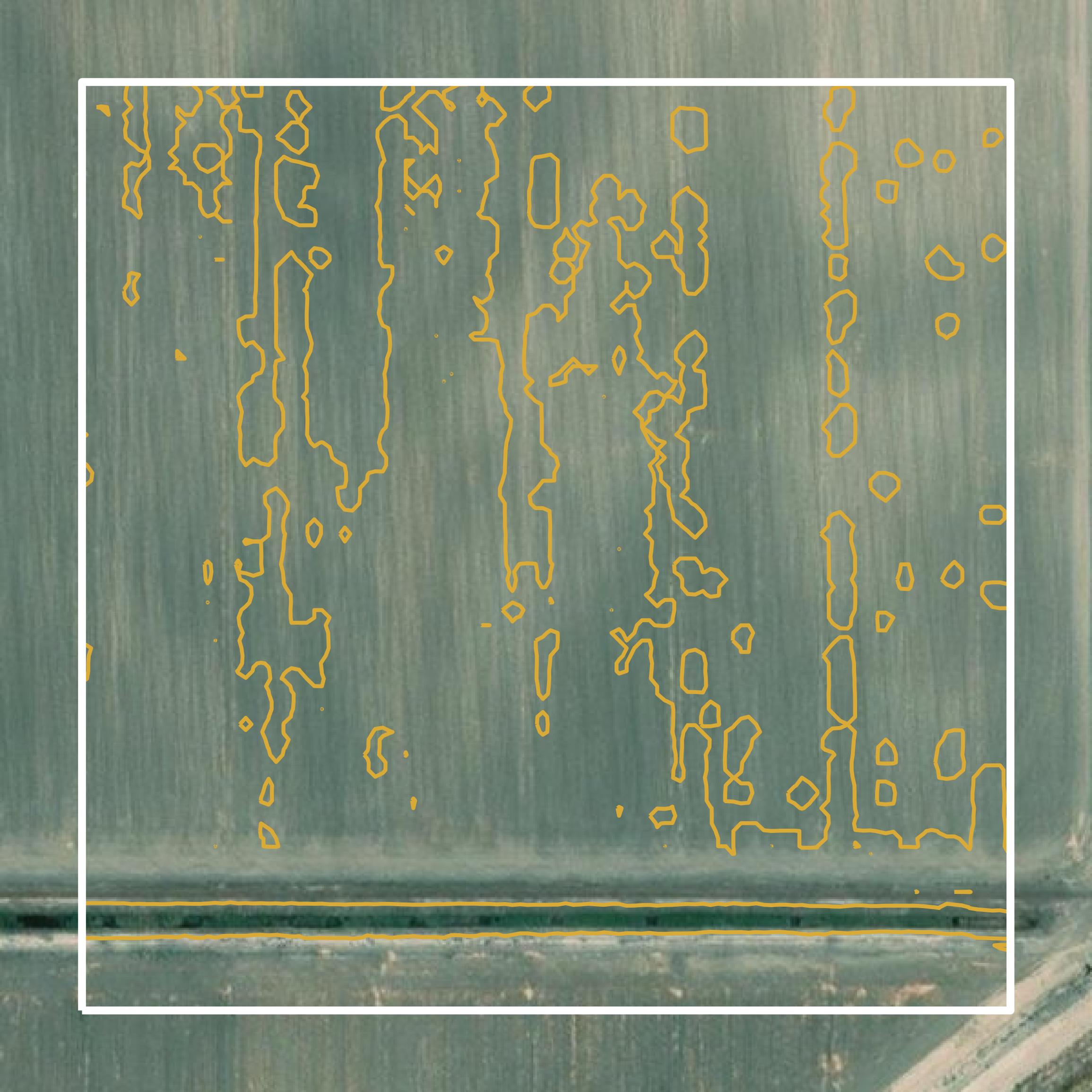 This image shows a contour map in Kings County created using GIS data in Equator.