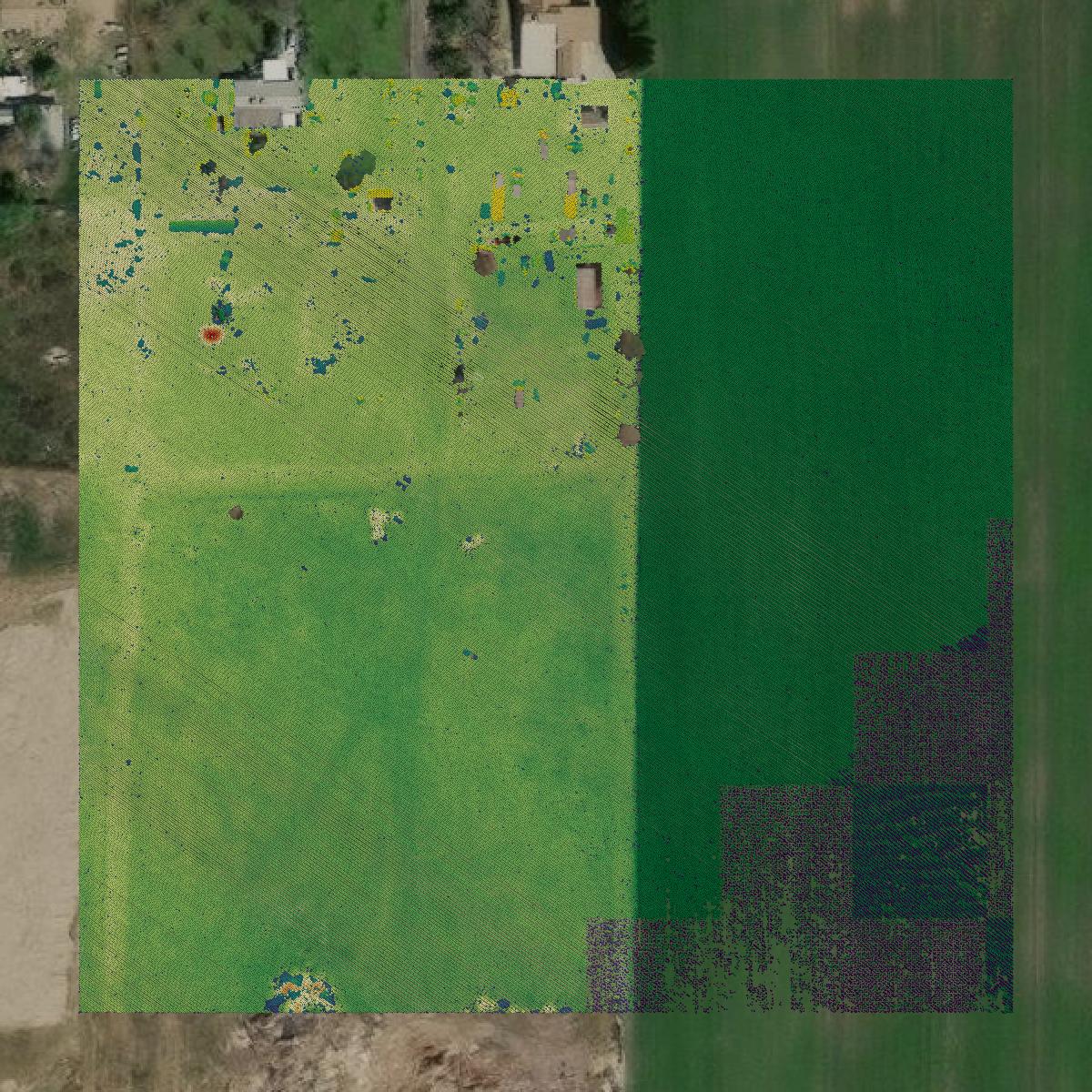 This image shows a LiDAR point cloud in Kings County created using GIS data in Equator.