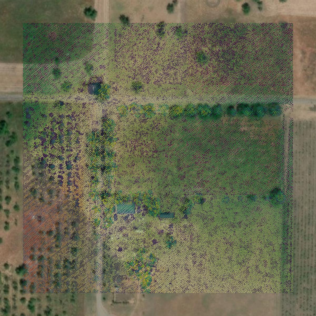 This image shows a LiDAR point cloud in Lake County created using GIS data in Equator.