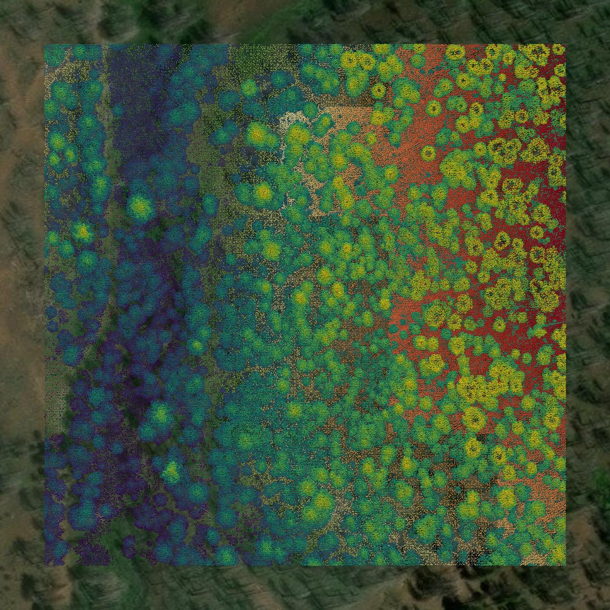 This image shows a LiDAR point cloud in Lassen County created using GIS data in Equator.