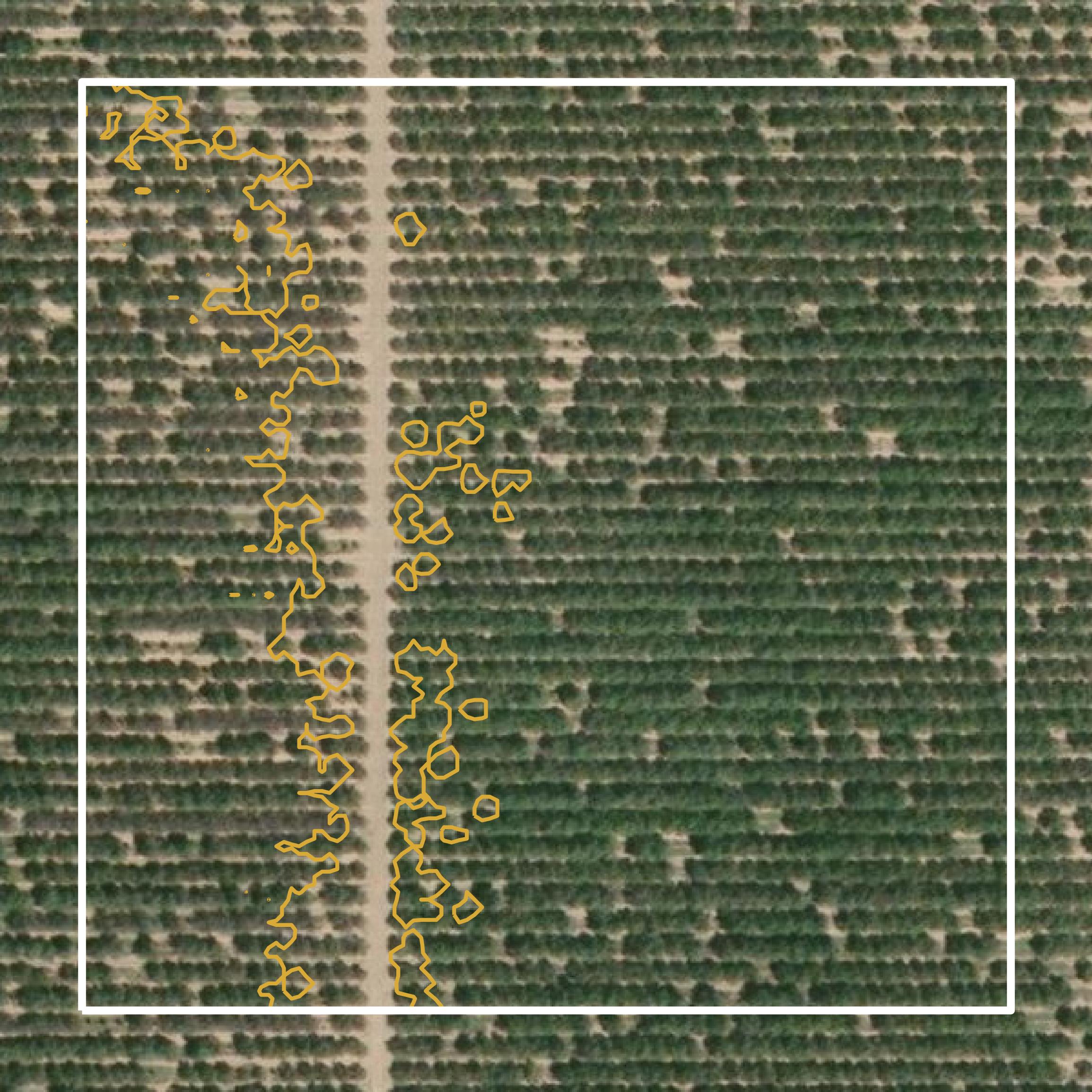 This image shows a contour map in Madera County created using GIS data in Equator.