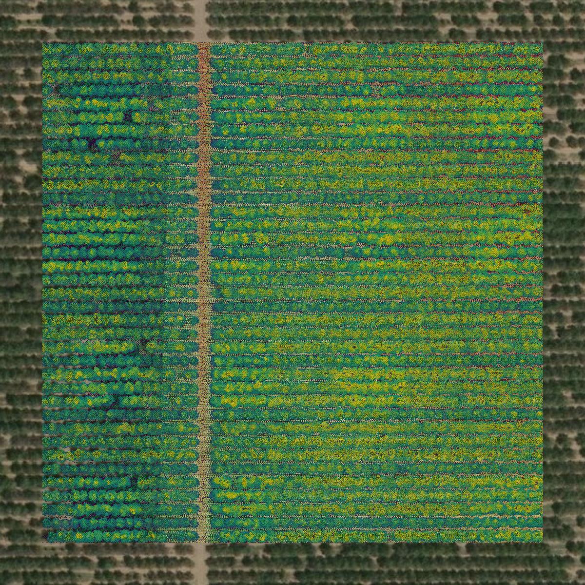 This image shows a LiDAR point cloud in Madera County created using GIS data in Equator.