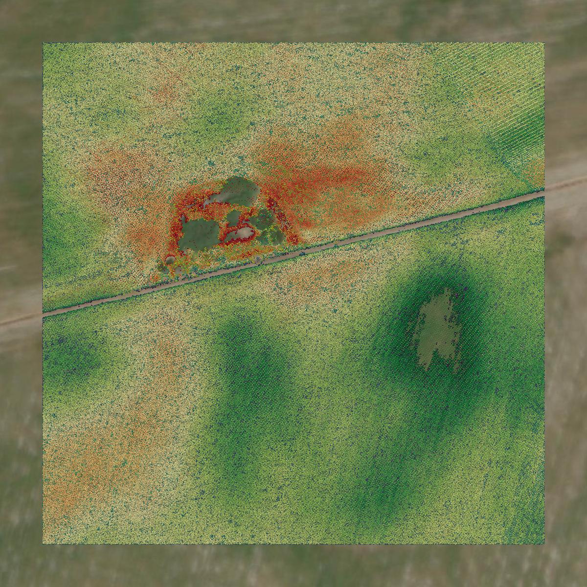 This image shows a LiDAR point cloud in Marin County created using GIS data in Equator.