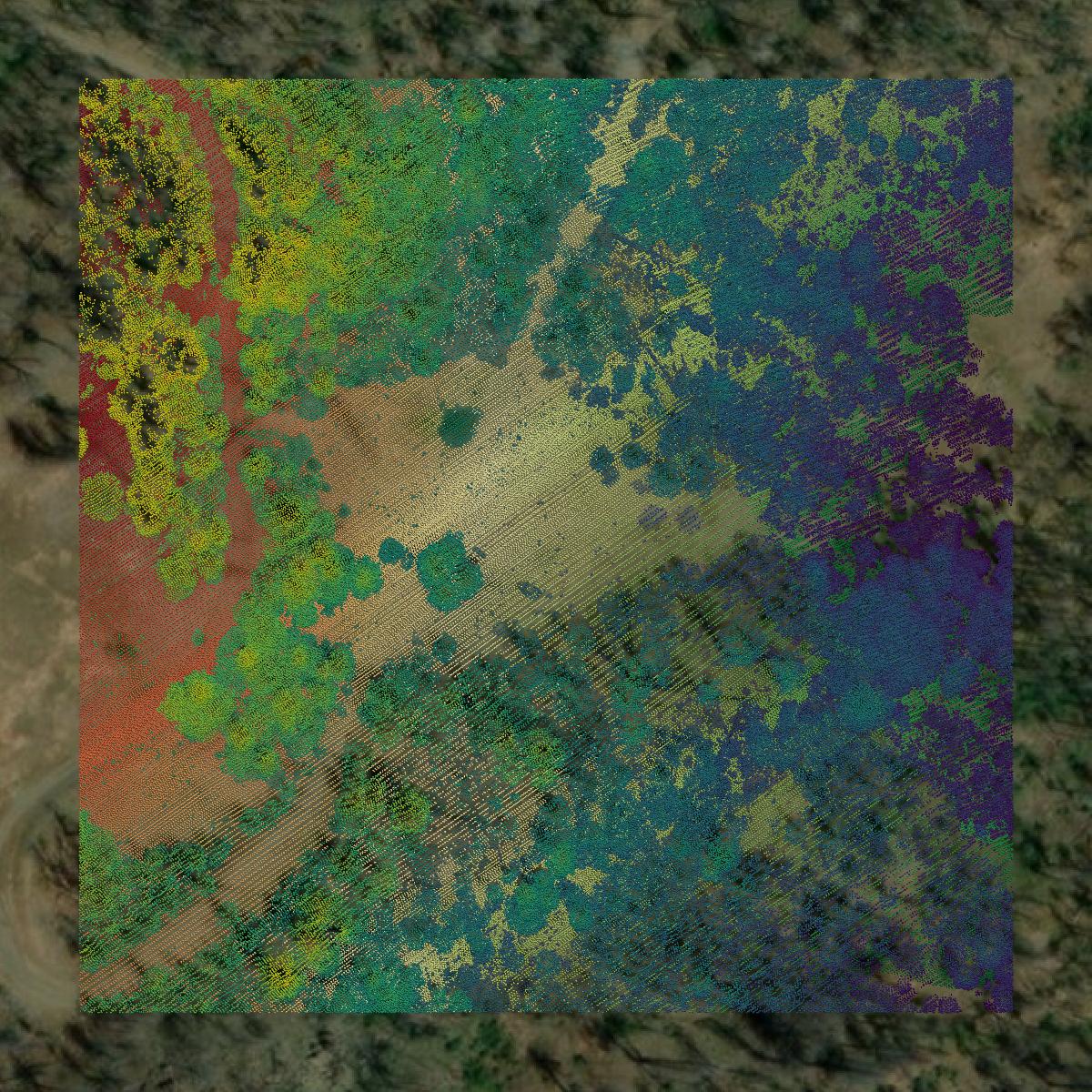 This image shows a LiDAR point cloud in Mendocino County created using GIS data in Equator.