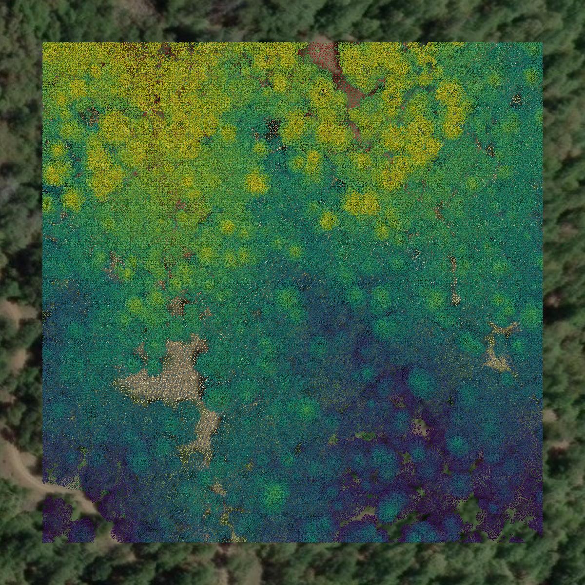 This image shows a LiDAR point cloud in Mendocino County created using GIS data in Equator.