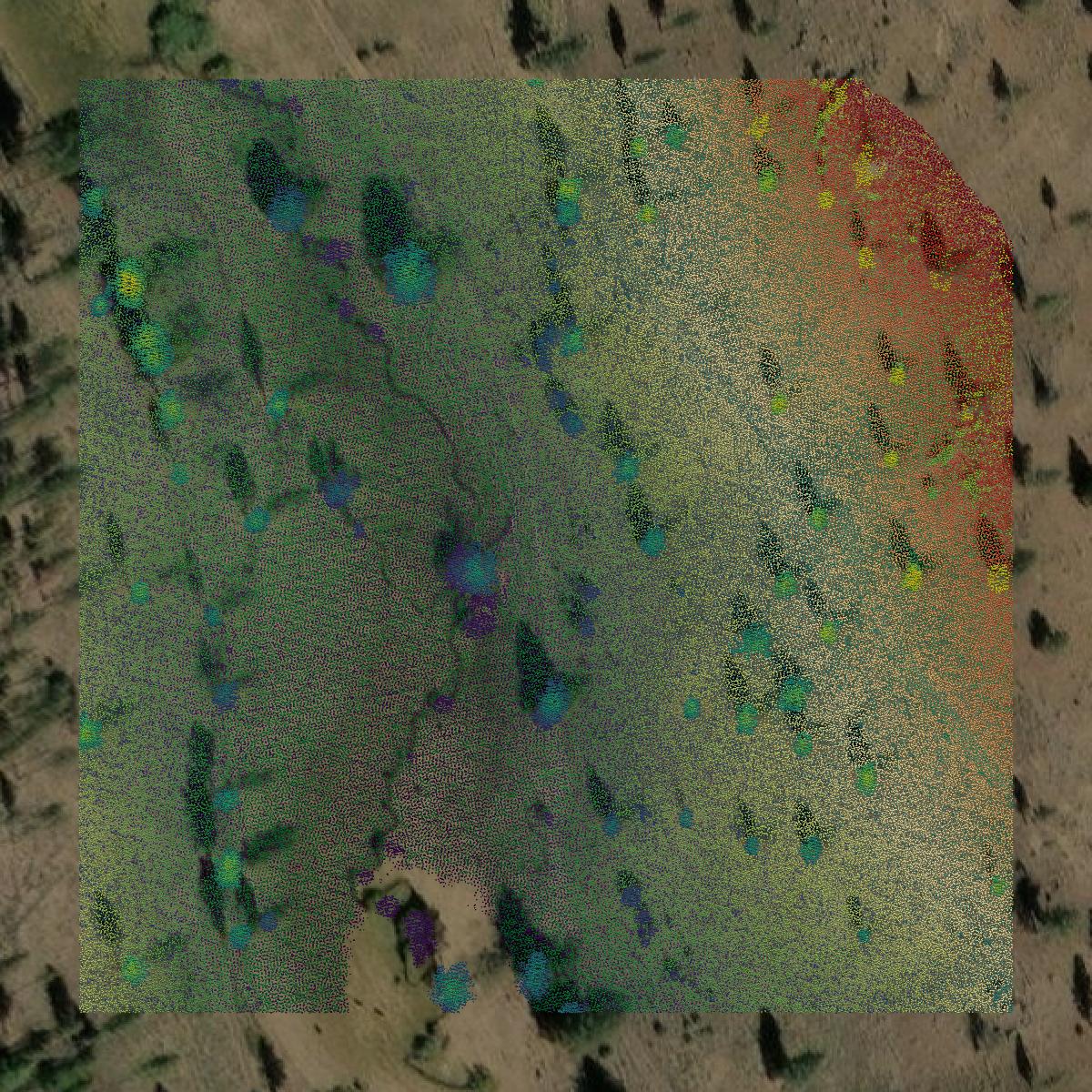This image shows a LiDAR point cloud in Modoc County created using GIS data in Equator.