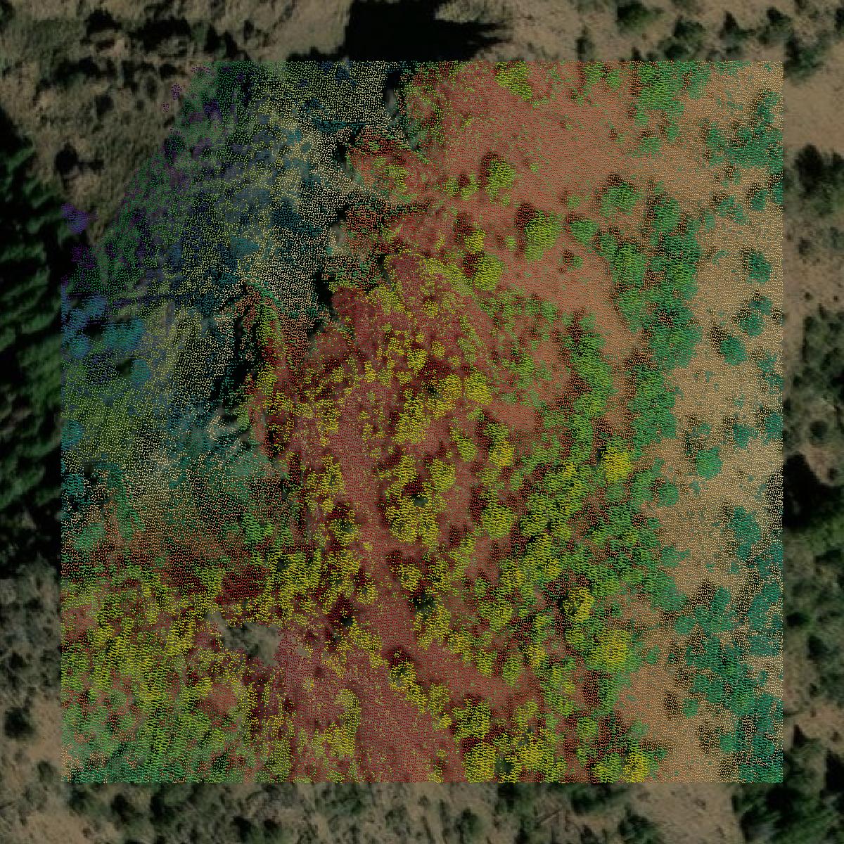 This image shows a LiDAR point cloud in Modoc County created using GIS data in Equator.