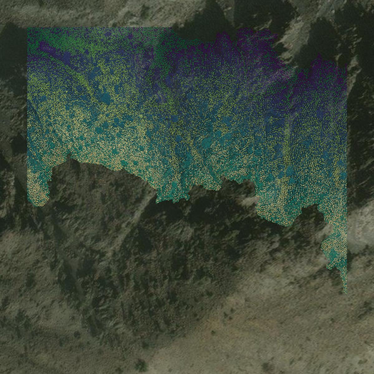 This image shows a LiDAR point cloud in Mono County created using GIS data in Equator.