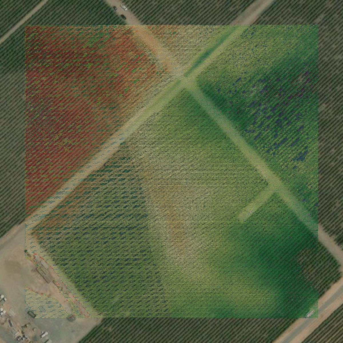 This image shows a LiDAR point cloud in Napa County created using GIS data in Equator.