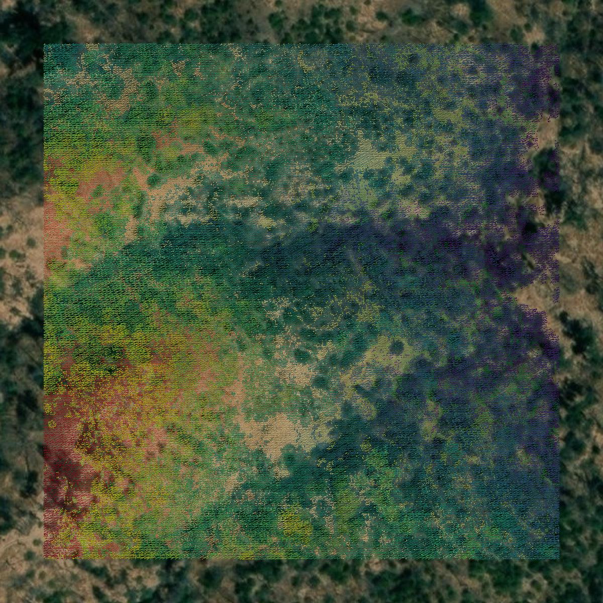 This image shows a LiDAR point cloud in Napa County created using GIS data in Equator.