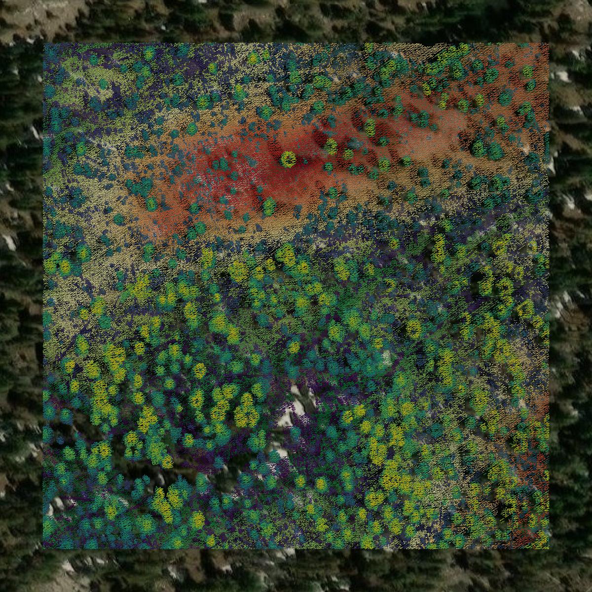 This image shows a LiDAR point cloud in Nevada County created using GIS data in Equator.