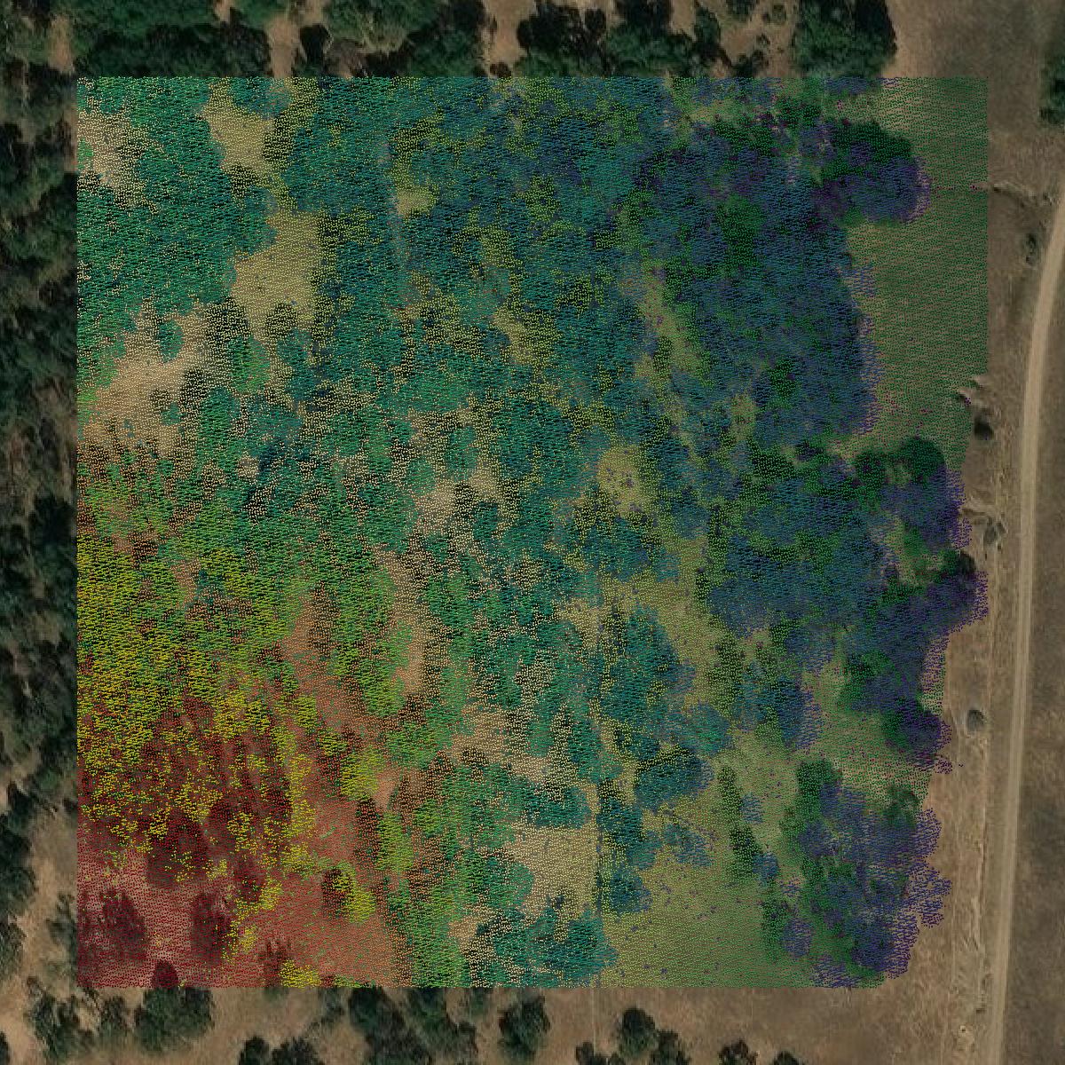 This image shows a LiDAR point cloud in Nevada County created using GIS data in Equator.