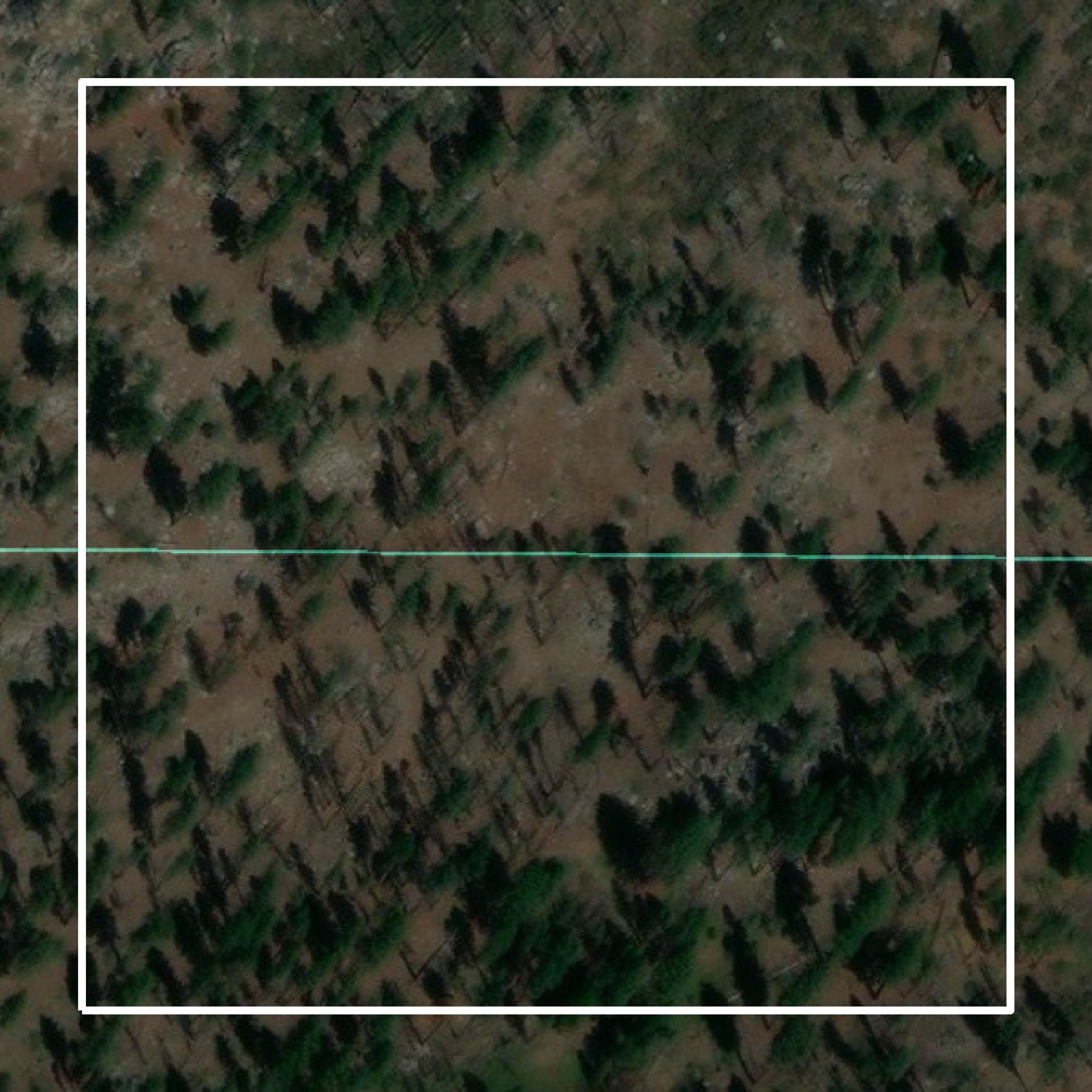 This image shows parcel and building data in Plumas County created using GIS data in Equator.