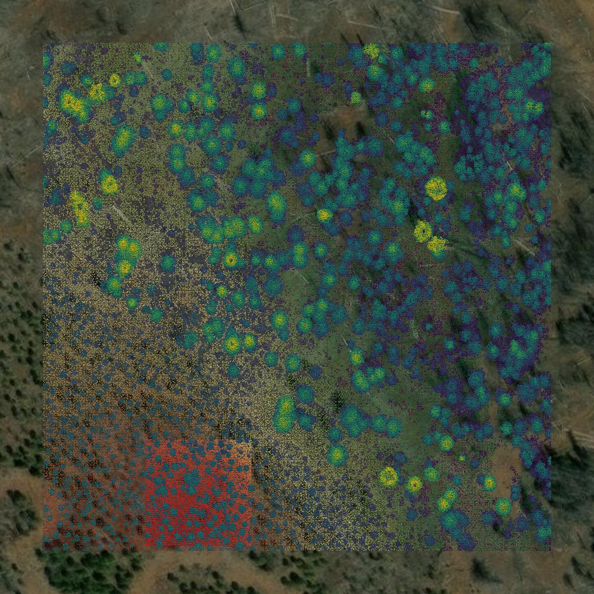 This image shows a LiDAR point cloud in Plumas County created using GIS data in Equator.