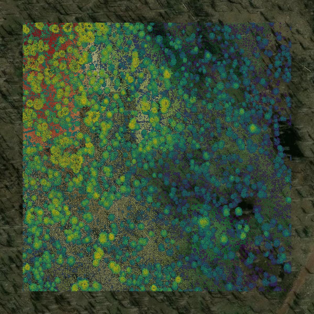 This image shows a LiDAR point cloud in Plumas County created using GIS data in Equator.