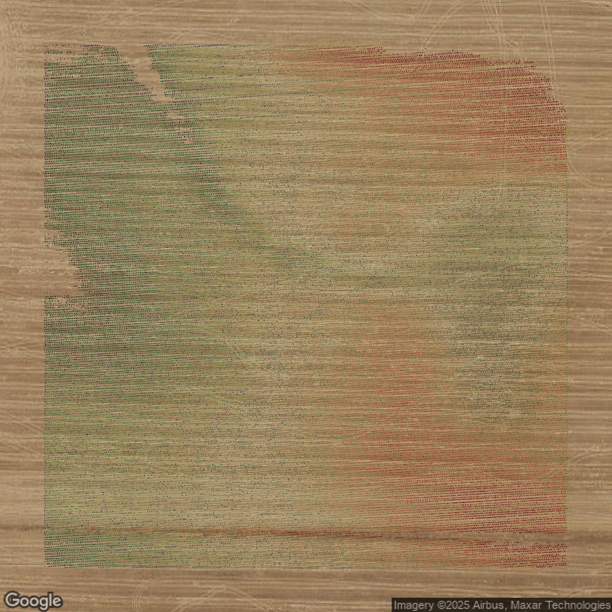 This image shows a LiDAR point cloud in Sacramento County created using GIS data in Equator.