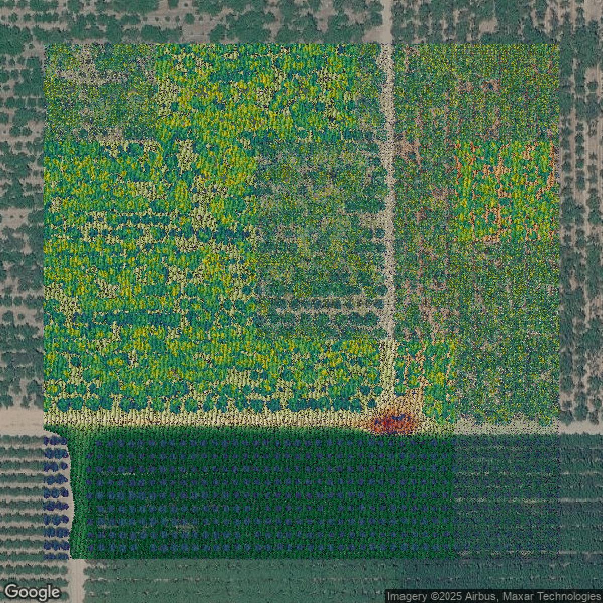 This image shows a LiDAR point cloud in San Joaquin County created using GIS data in Equator.