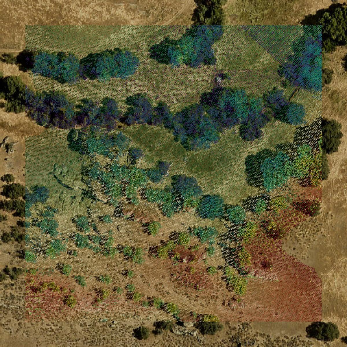 This image shows a LiDAR point cloud in San Luis Obispo County created using GIS data in Equator.