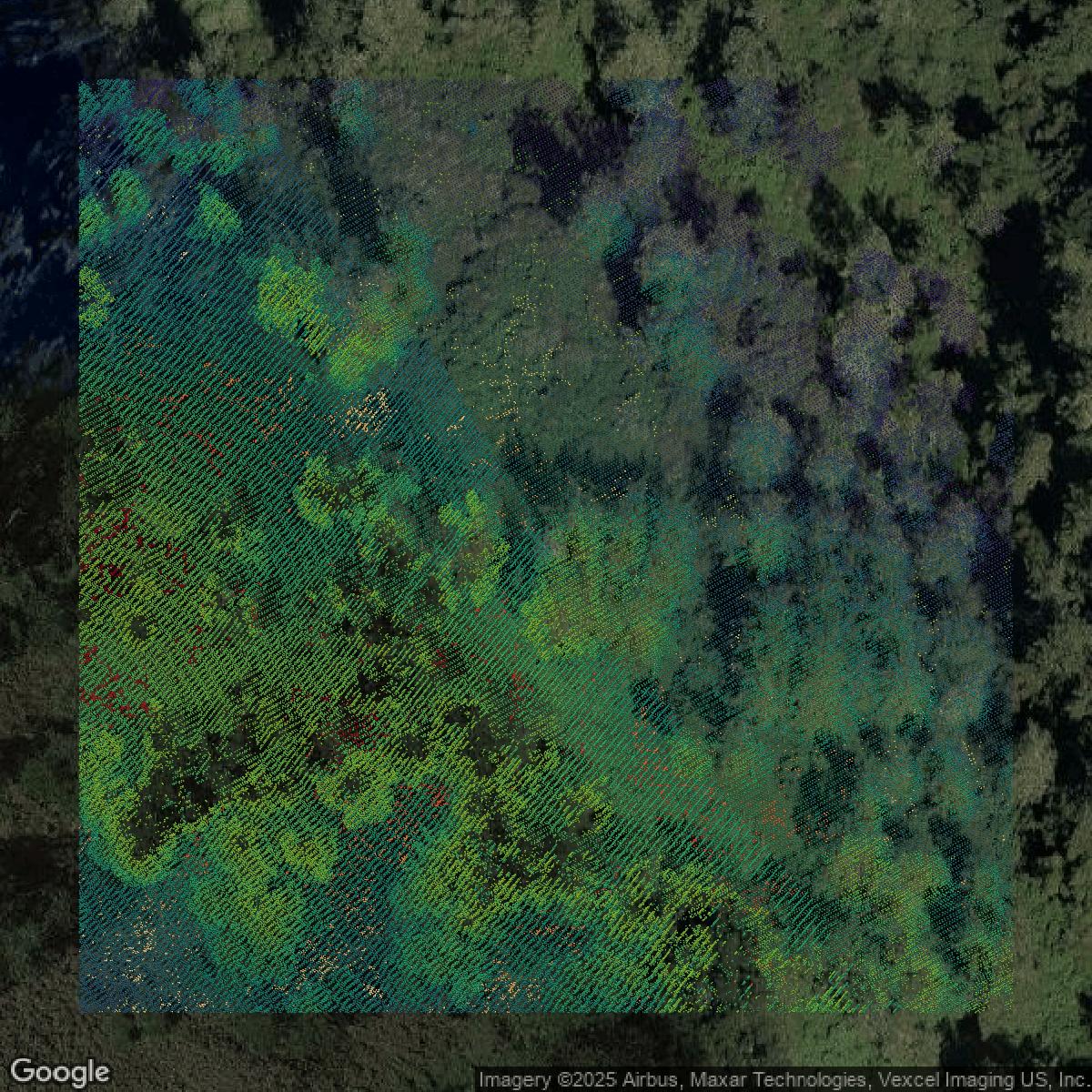 This image shows a LiDAR point cloud in San Mateo County created using GIS data in Equator.