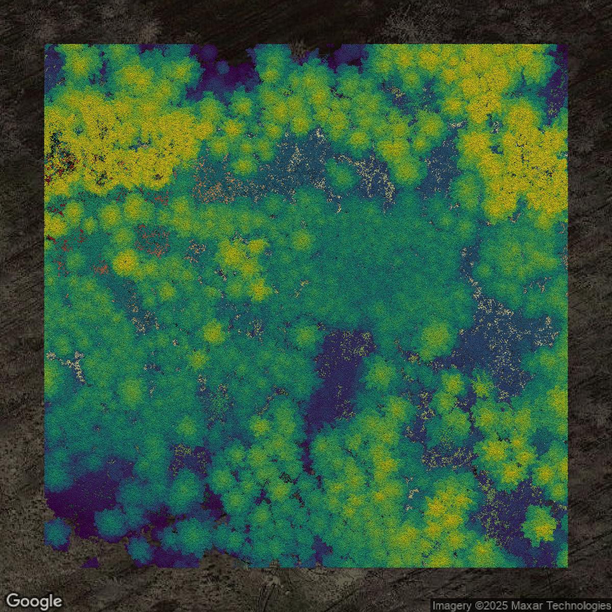 This image shows a LiDAR point cloud in San Mateo County created using GIS data in Equator.