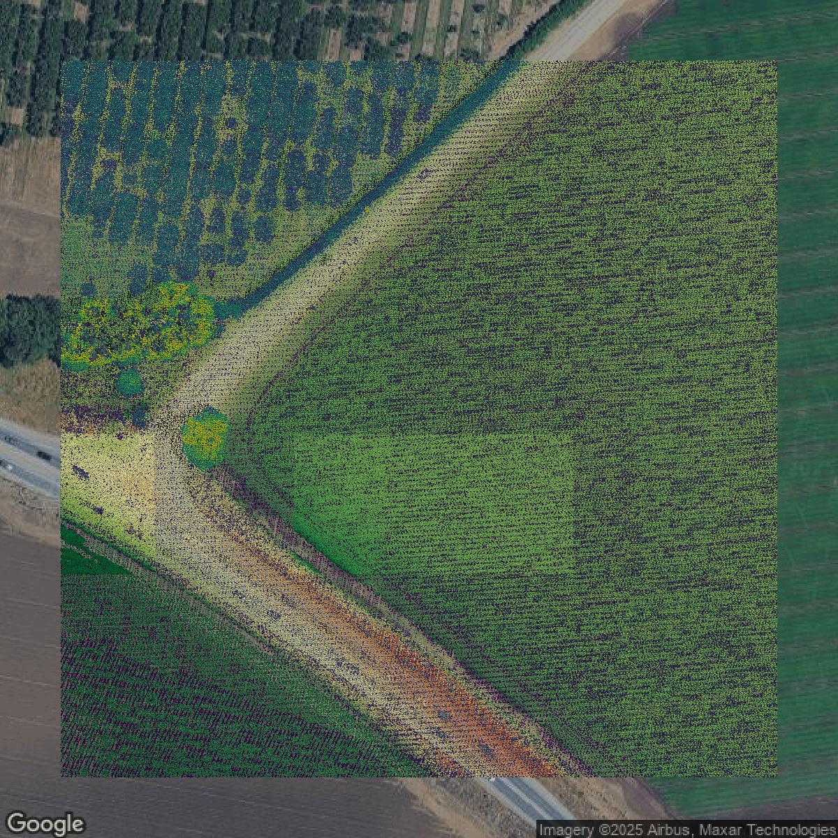 This image shows a LiDAR point cloud in Santa Clara County created using GIS data in Equator.
