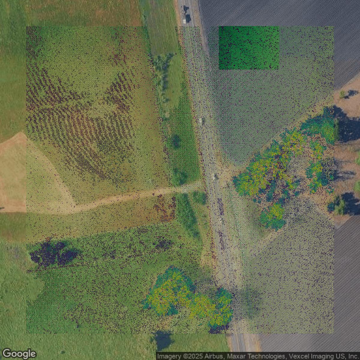 This image shows a LiDAR point cloud in Santa Clara County created using GIS data in Equator.