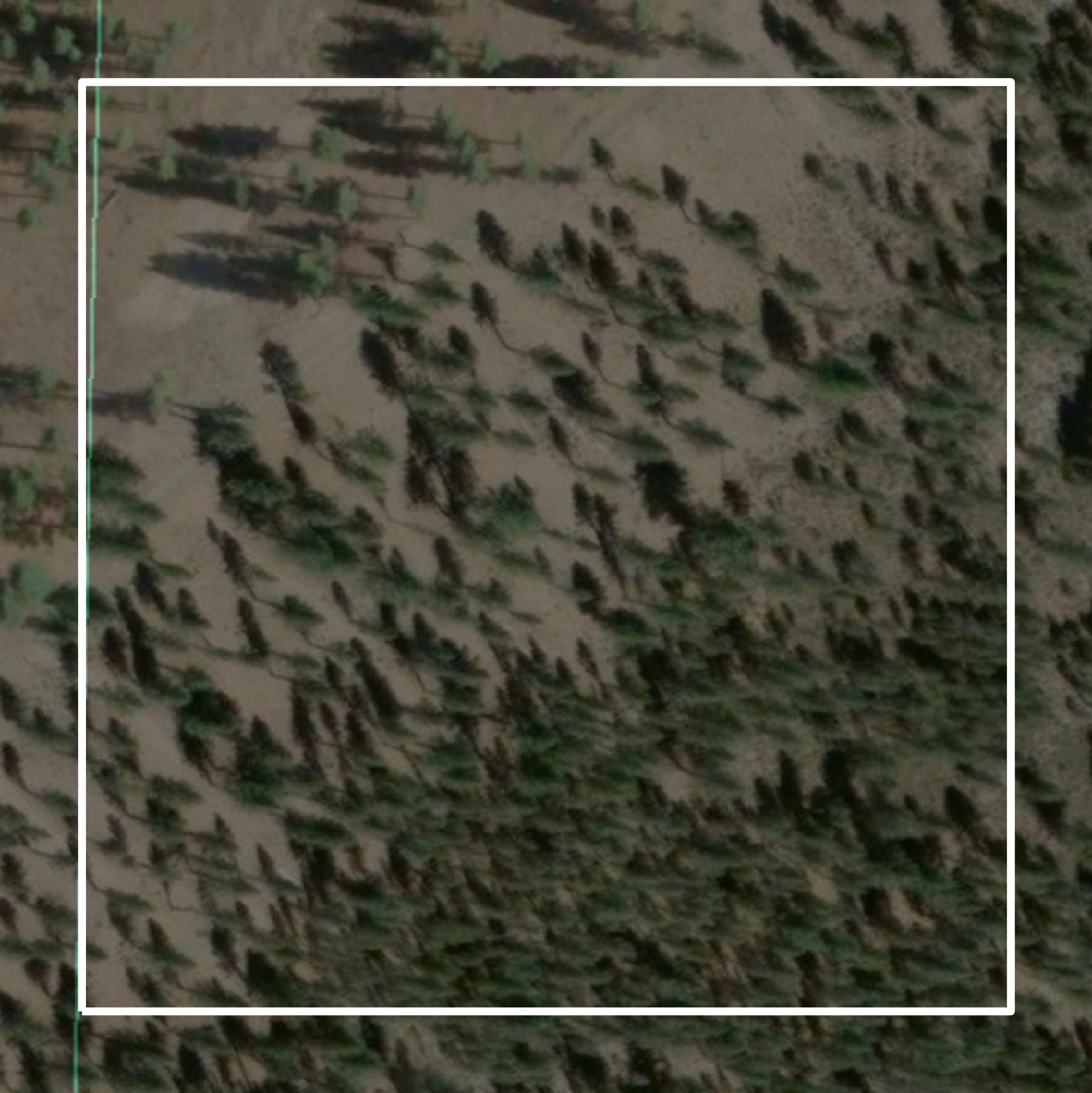 This image shows parcel and building data in Shasta County created using GIS data in Equator.