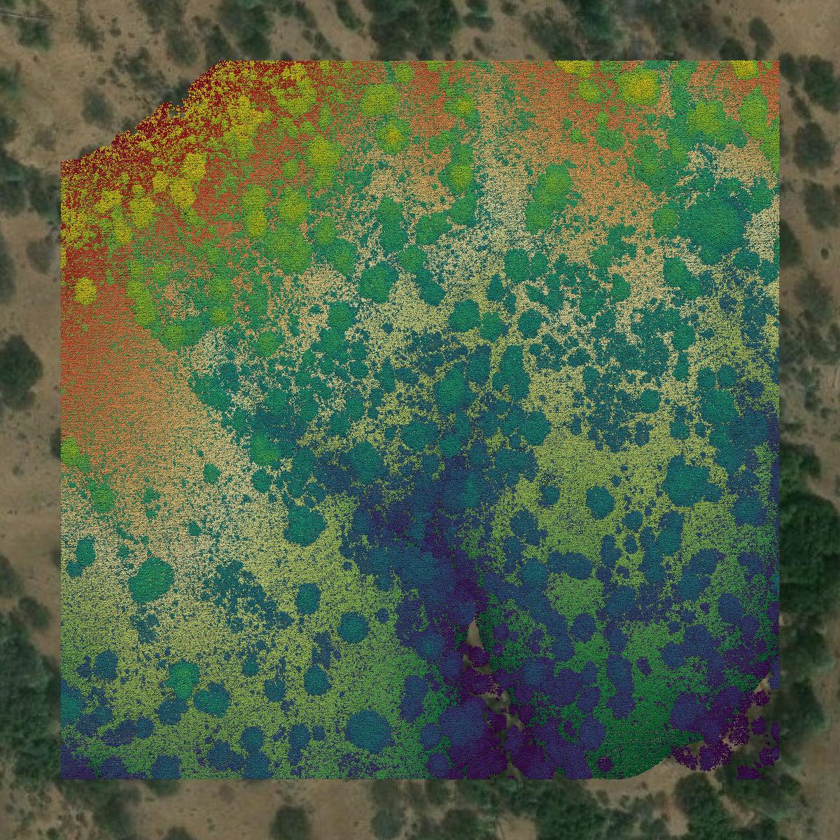 This image shows a LiDAR point cloud in Shasta County created using GIS data in Equator.