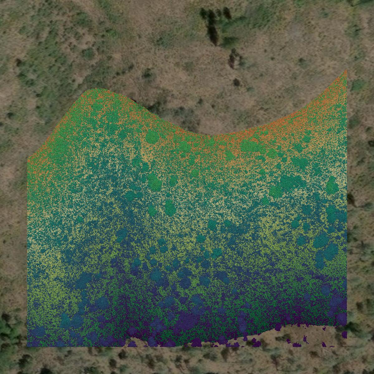This image shows a LiDAR point cloud in Shasta County created using GIS data in Equator.