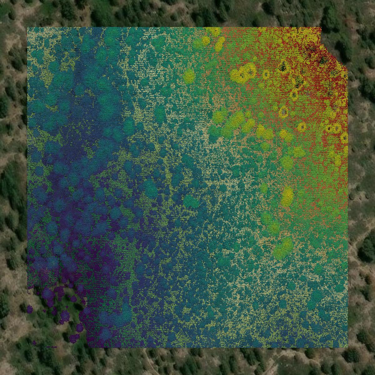 This image shows a LiDAR point cloud in Sierra County created using GIS data in Equator.