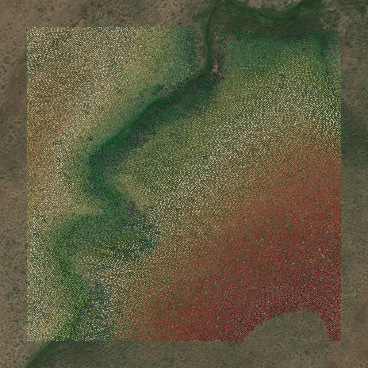 This image shows a LiDAR point cloud in Sierra County created using GIS data in Equator.