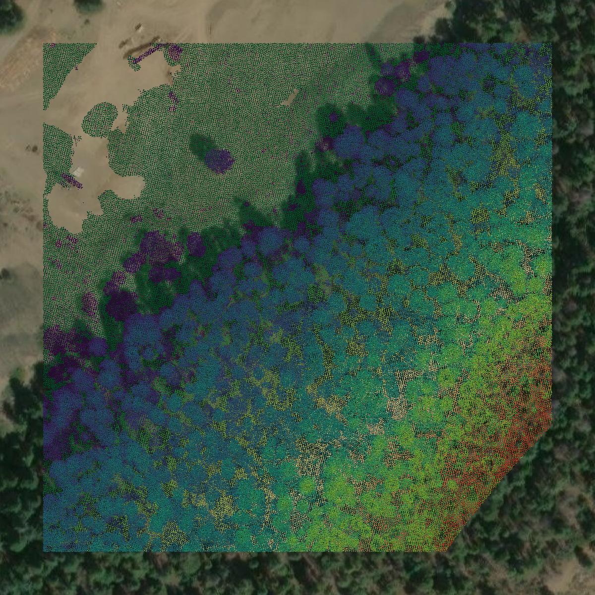 This image shows a LiDAR point cloud in Siskiyou County created using GIS data in Equator.