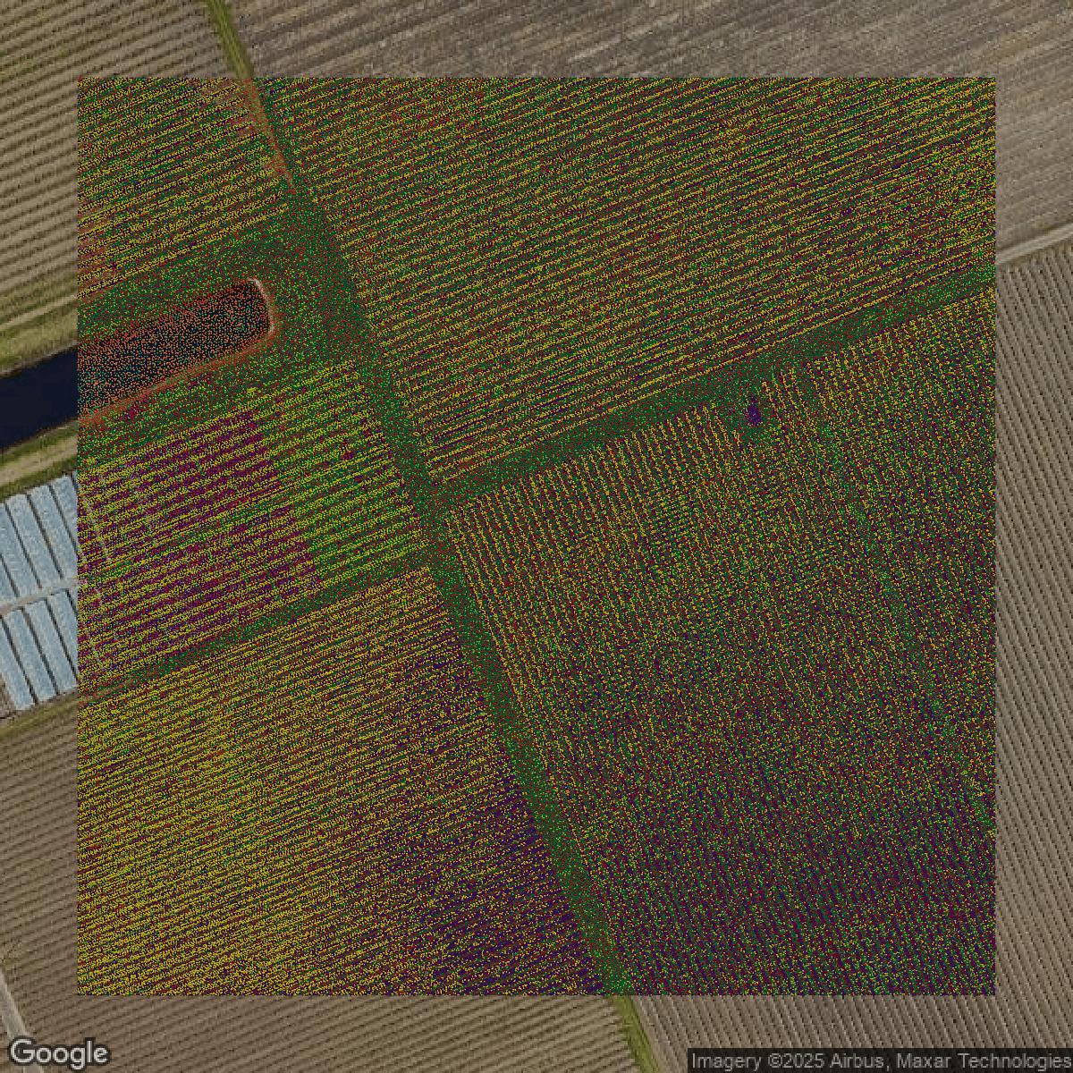 This image shows a LiDAR point cloud in Sonoma County created using GIS data in Equator.