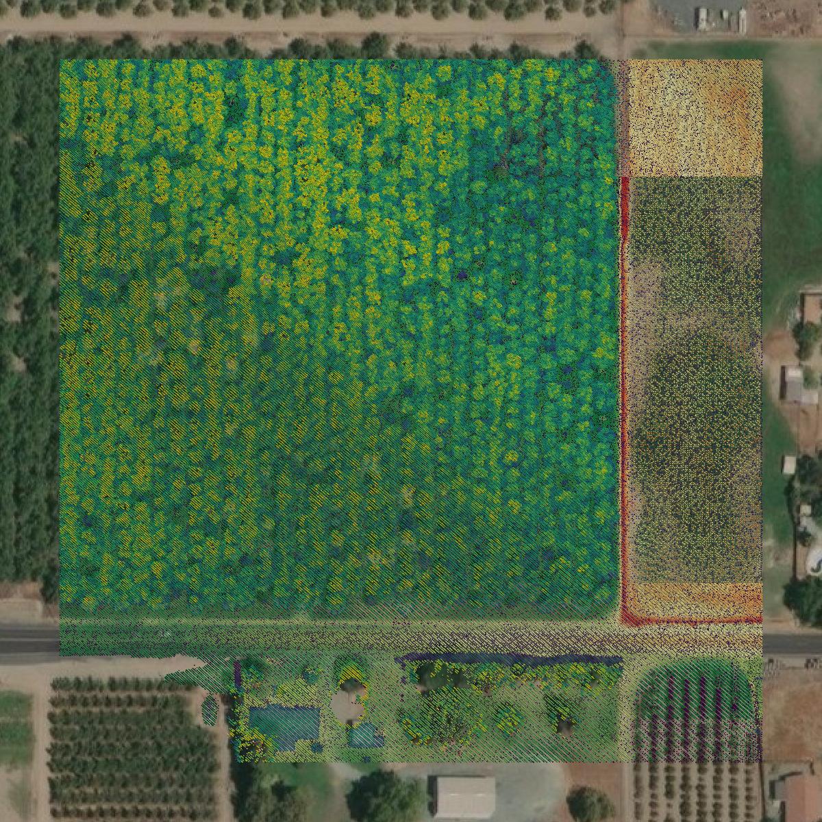 This image shows a LiDAR point cloud in Stanislaus County created using GIS data in Equator.