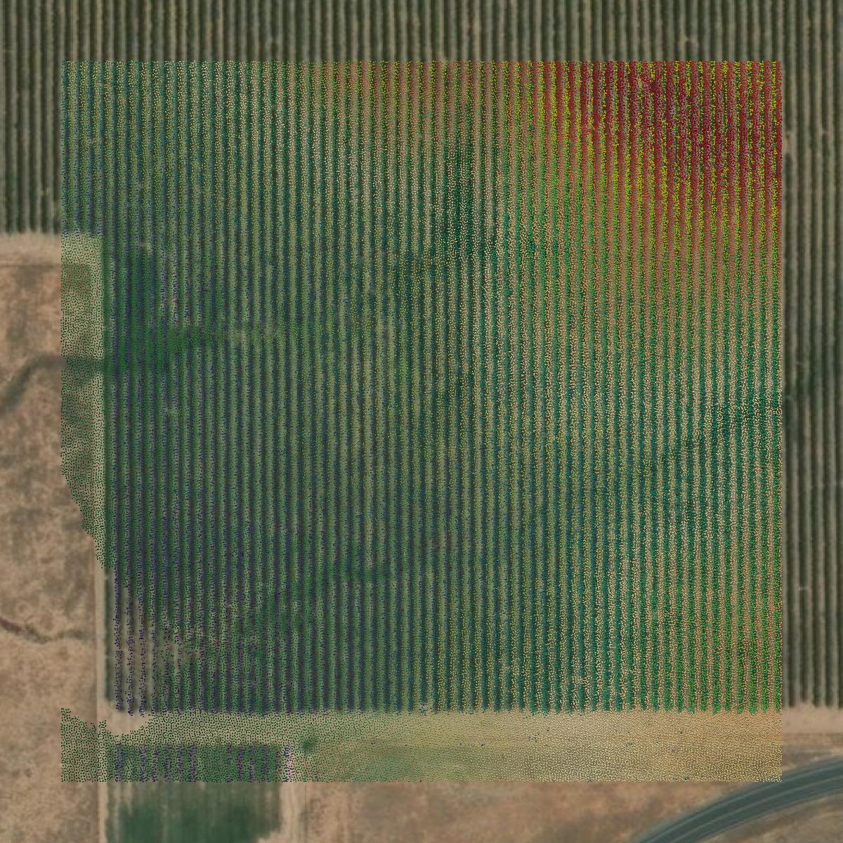 This image shows a LiDAR point cloud in Tehama County created using GIS data in Equator.