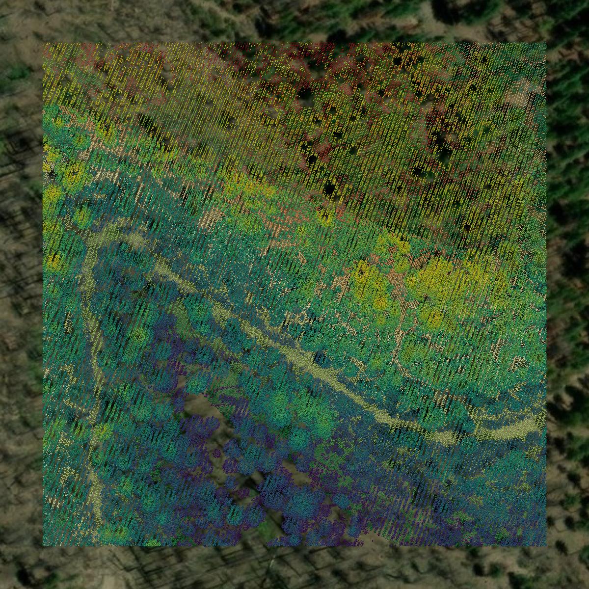 This image shows a LiDAR point cloud in Tehama County created using GIS data in Equator.
