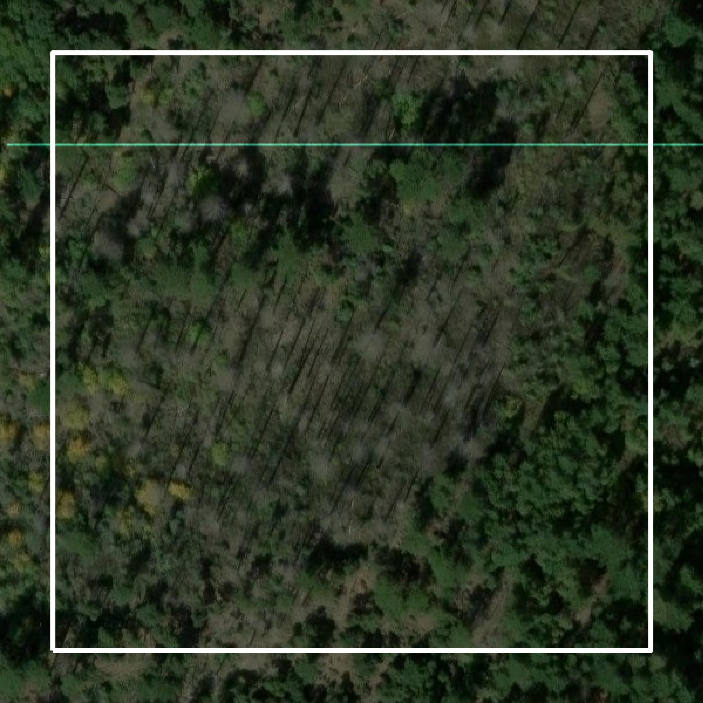 This image shows parcel and building data in Trinity County created using GIS data in Equator.