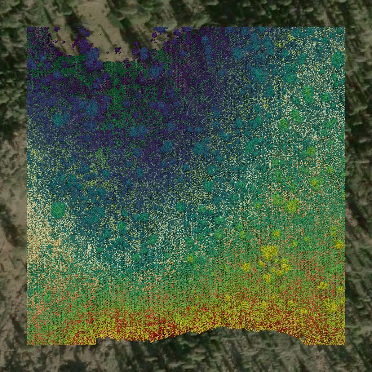 This image shows a LiDAR point cloud in Trinity County created using GIS data in Equator.
