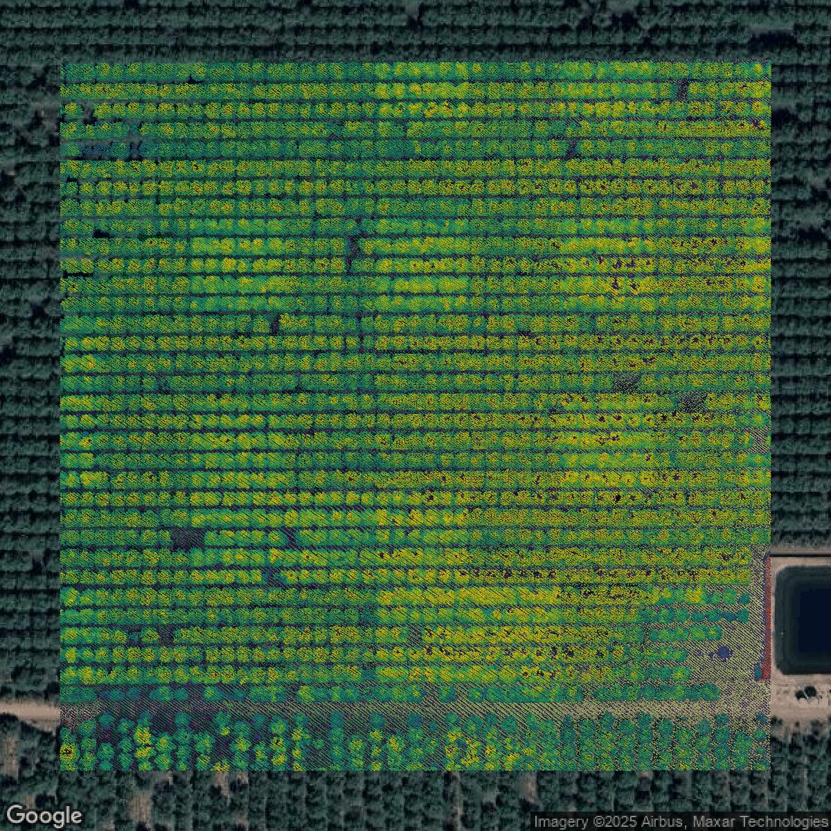 This image shows a LiDAR point cloud in Tulare County created using GIS data in Equator.