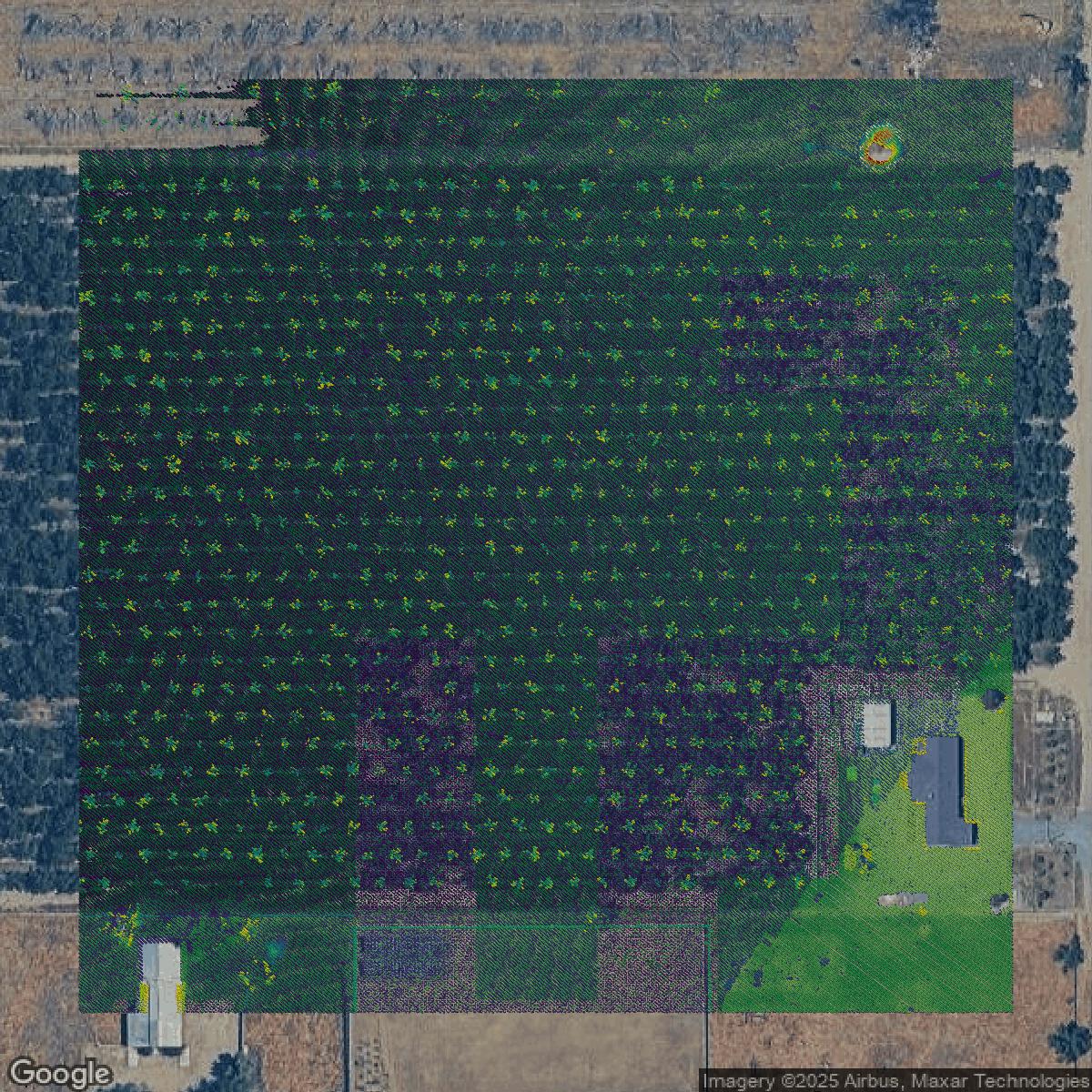 This image shows a LiDAR point cloud in Tulare County created using GIS data in Equator.