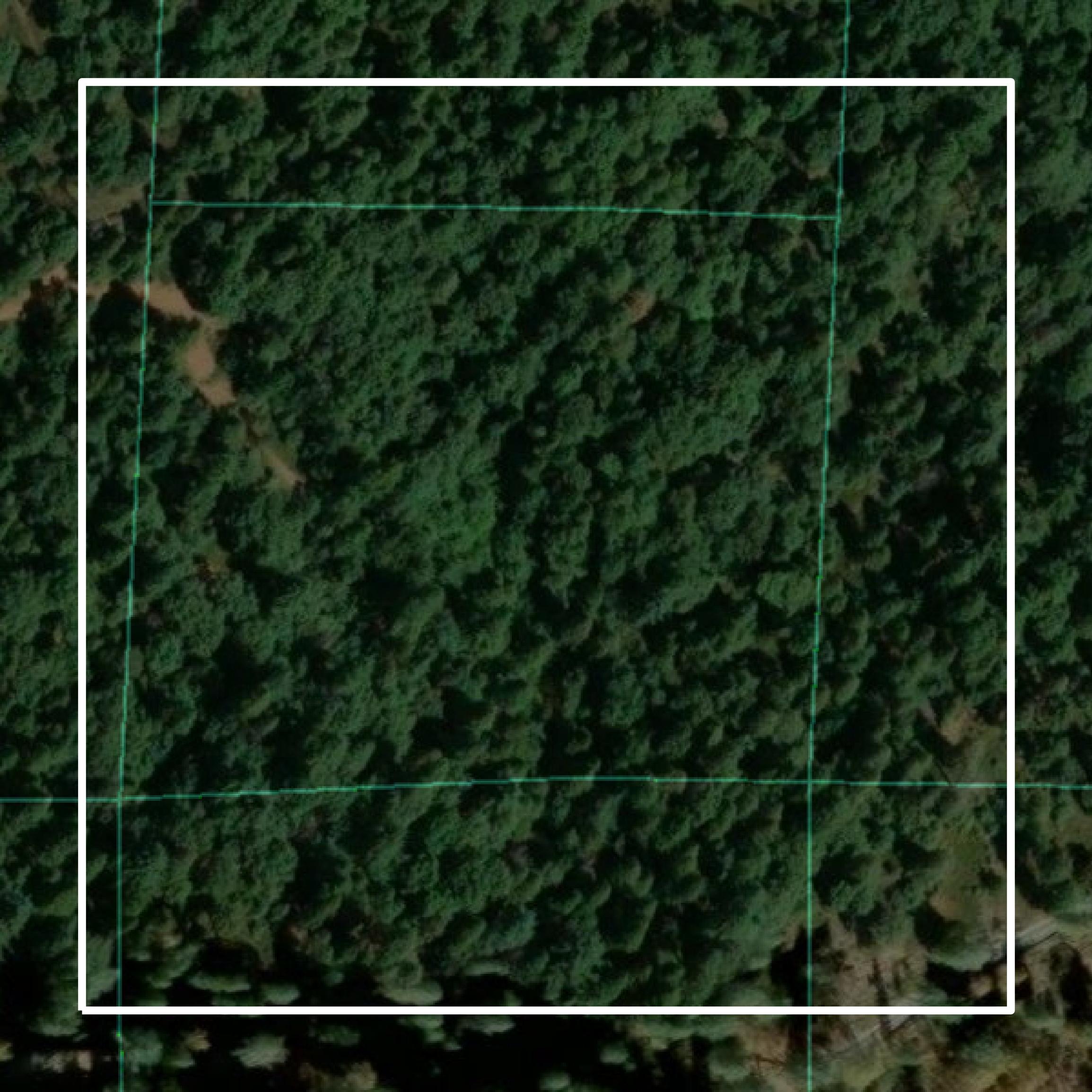 This image shows parcel and building data in Tuolumne County created using GIS data in Equator.