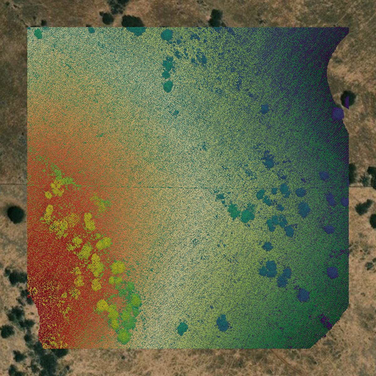 This image shows a LiDAR point cloud in Tuolumne County created using GIS data in Equator.