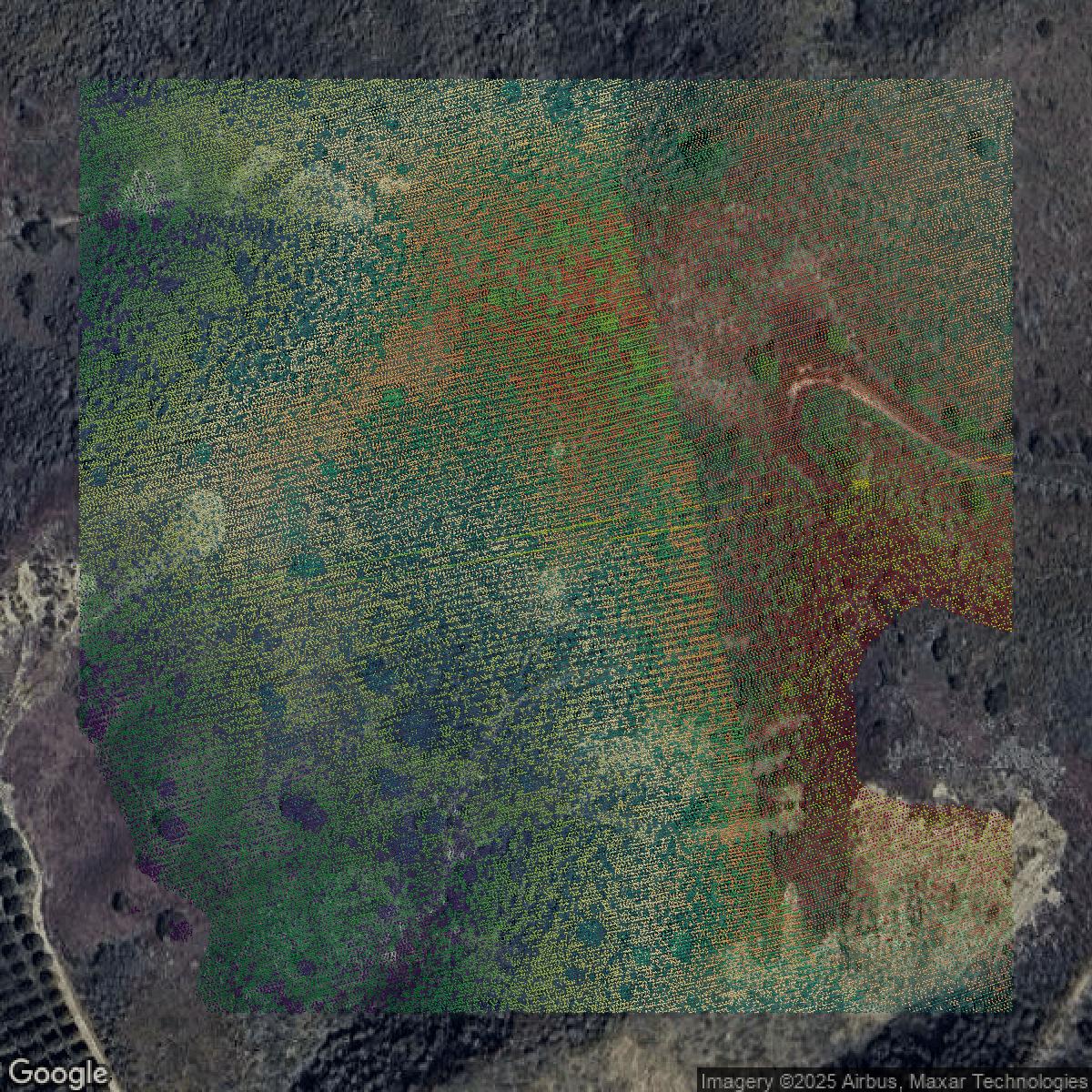 This image shows a LiDAR point cloud in Ventura County created using GIS data in Equator.