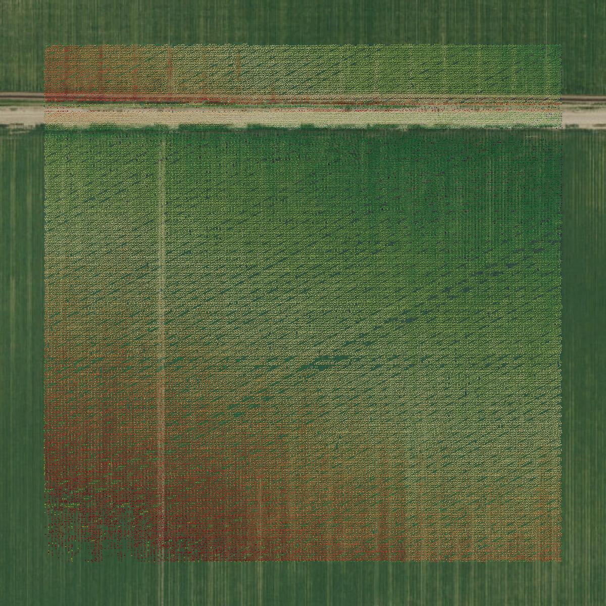 This image shows a LiDAR point cloud in Yolo County created using GIS data in Equator.