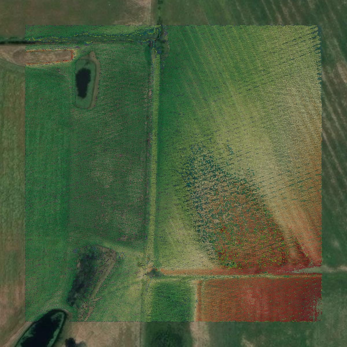 This image shows a LiDAR point cloud in Yuba County created using GIS data in Equator.