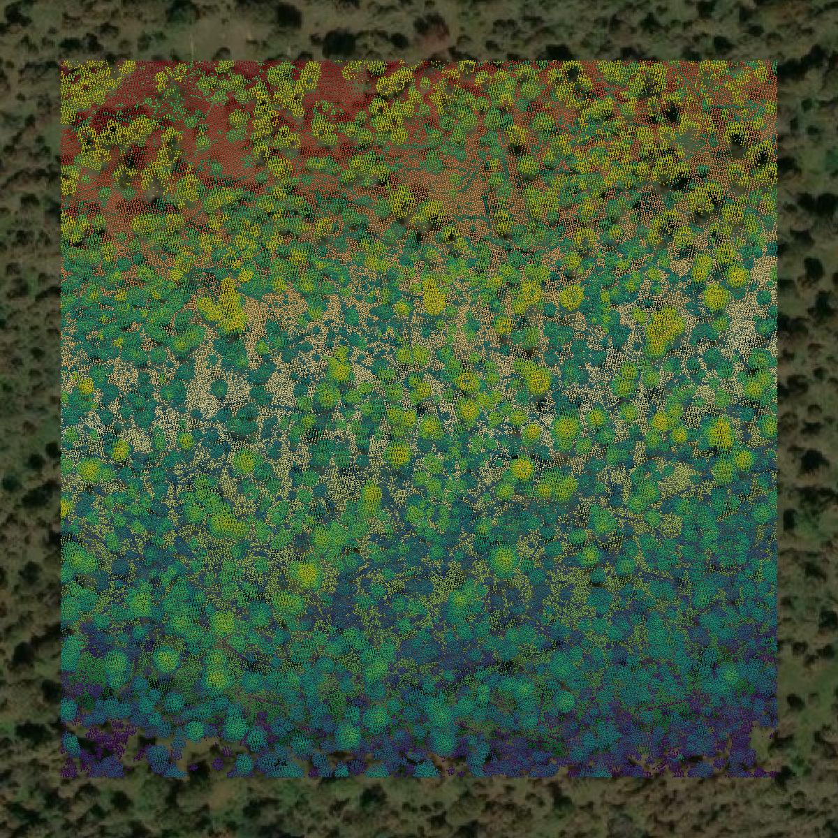 This image shows a LiDAR point cloud in Archuleta County created using GIS data in Equator.