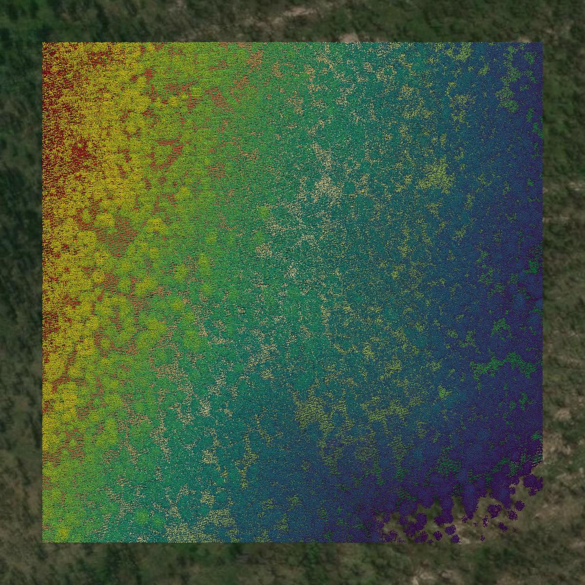 This image shows a LiDAR point cloud in Boulder County created using GIS data in Equator.