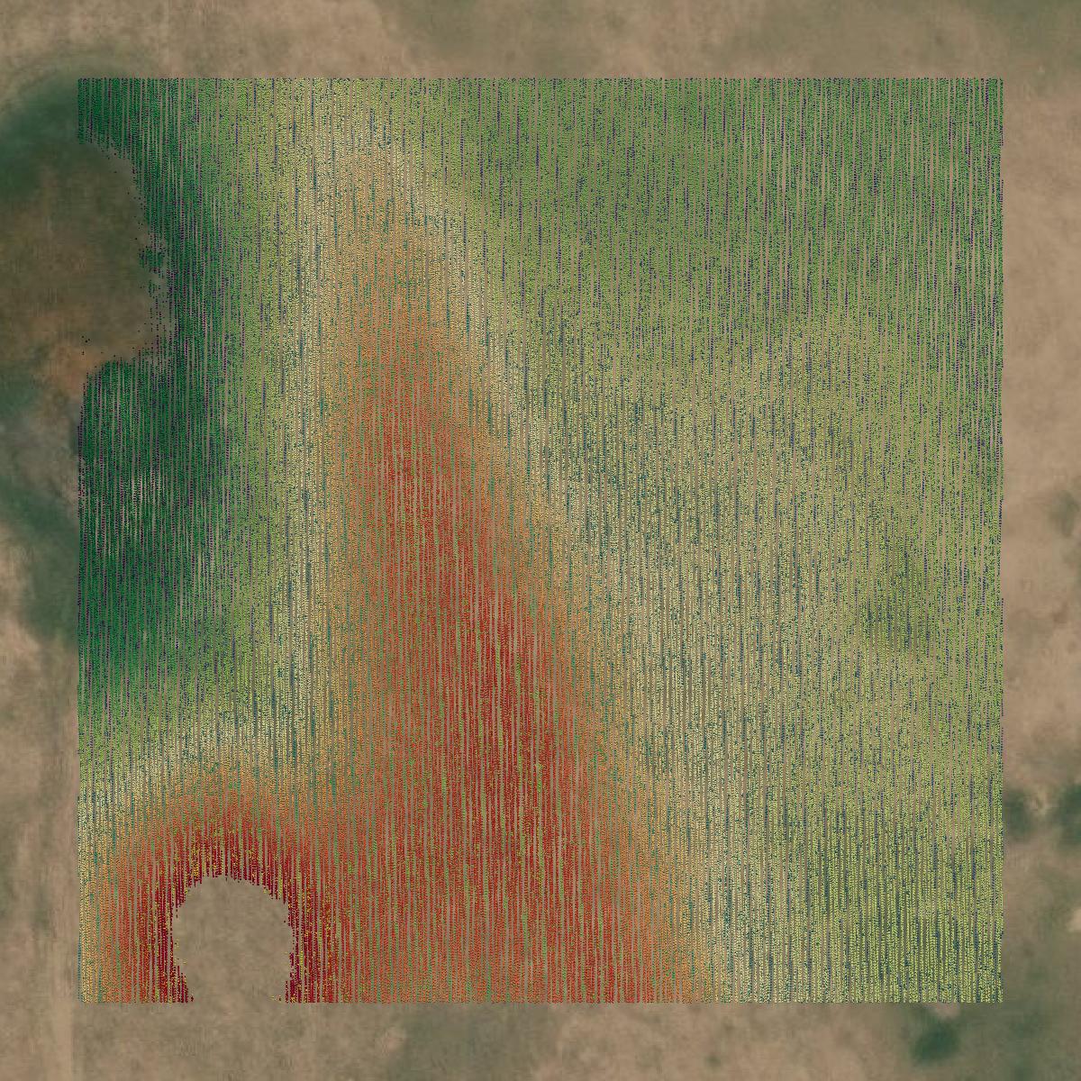 This image shows a LiDAR point cloud in Cheyenne County created using GIS data in Equator.